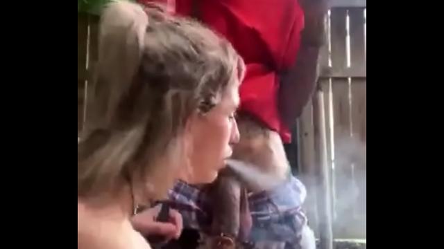 3 white wife&rsquo;s come meet Kodak Black