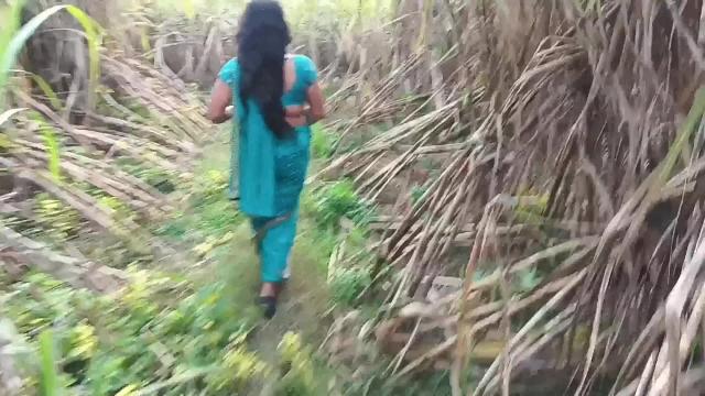 Steamy Milf Teacher & Step Dad Roleplay in Sugarcane Fields: Small Ass, Sexy Clothes Video
